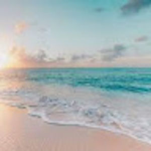 Meet your Posher, Karkin